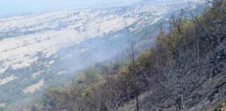 ვაშლოვანის დაცულ ტერიტორიაზე ხანძარი ლოკალიზებულია