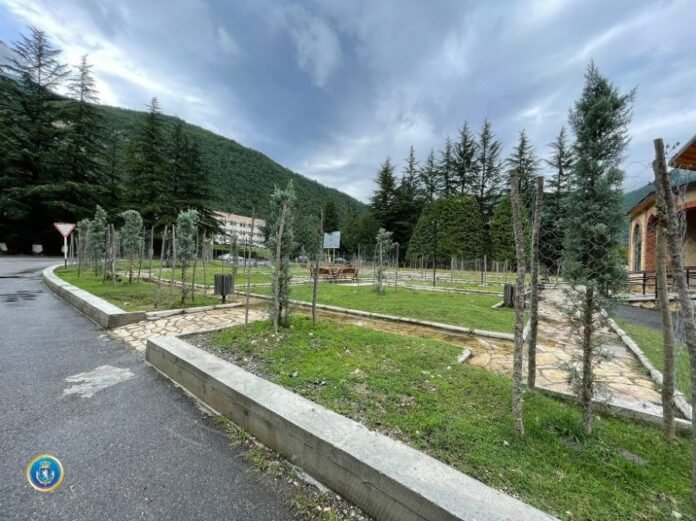 1627454303-საგამოძიებო1