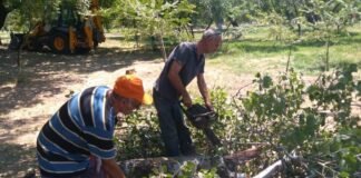 რუსთავის მერია ძლიერი ქარის გამო შექმნილი პრობლემების ლიკვიდაციაზე მუშაობს