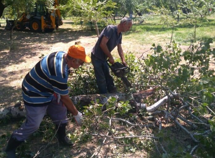 212829382_1462866634081378_1587542139519192215_n