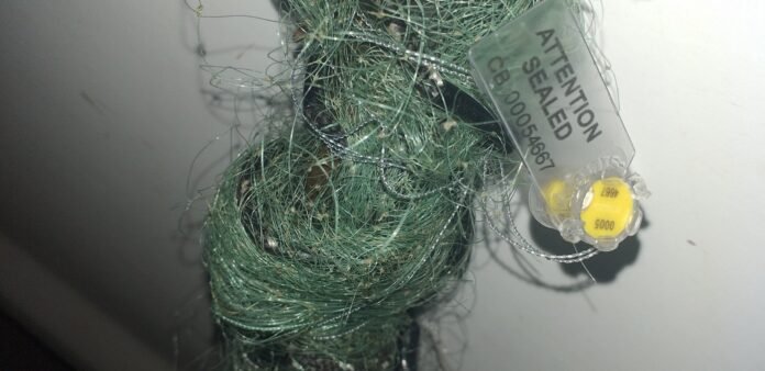 215493146_5115727428441634_4027322950681242469_n (1)