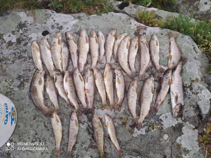 216275779_5129714693709574_2756432202523966694_n