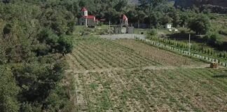 რუსთავის ტყე-ჭალის 3 400-ზე მეტი კვმ ფართობი სარგებლობის უფლებით გაიცემა