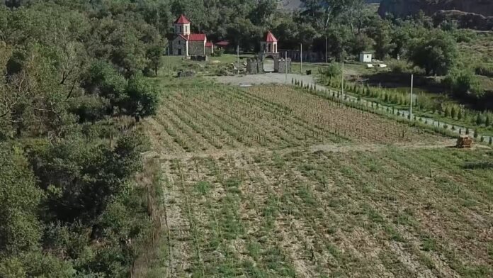 227509785_352370089896935_7722231587789554424_n