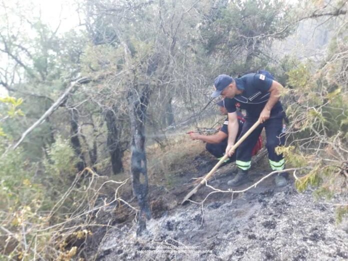 B9F42827-1DCE-44BD-AF65-C513CB37792A