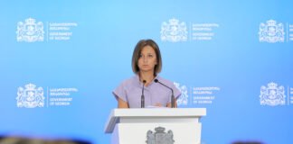 ჯანდაცვის მინისტრი: 30%-ით არის გაზრდილი სასწრაფოს გამოძახებები