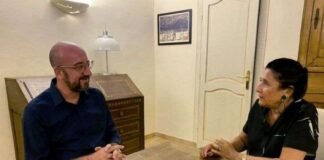 სალომე ზურაბიშვილი შარლ მიშელს შეხვდა