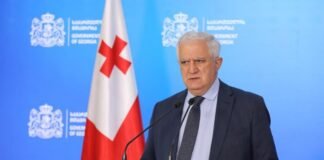 გამყრელიძე: დაახლოებით ორი კვირის შემდეგ უნდა იყოს კლება, მაგრამ ნელი ტემპით