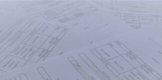 სახელმწიფოს მოტყუებით დიდი ოდენობით ქონებრივი დაზიანების ფაქტი გამოვლინდა