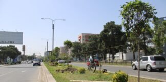 “სერვის ცენტრის” განცხადება: ვის აქვს გამხმარი ნერგების ჩანაცვლების ვალდებულება?