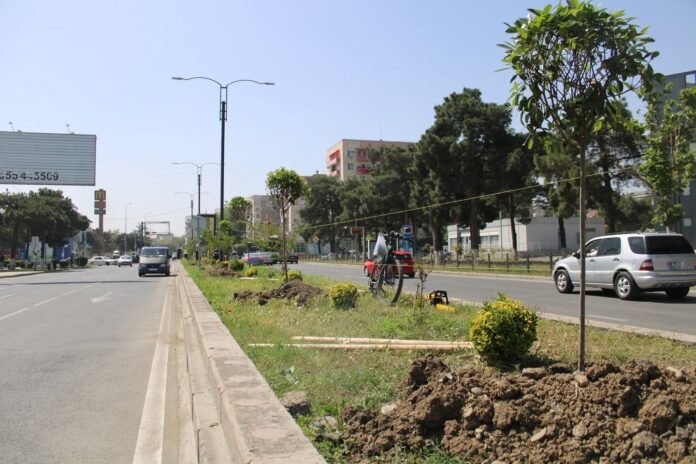 217440738_1739364206255869_2726756789032392467_n