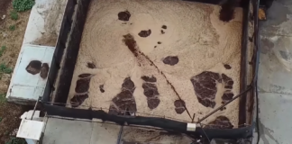 უკანონოდ ვართ გაჩერებულები: სოკოს საწარმოს ხელმძღვანელი