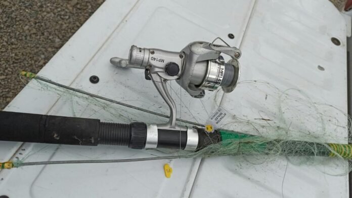 240101940_5255371667810542_5657734270017762898_n