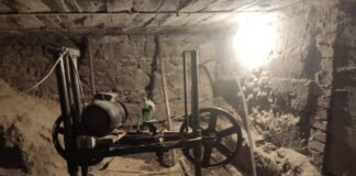 წალკაში უკანონო სახერხი საამქრო გამოავლინეს