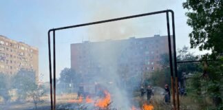 მე-7 მიკრორაიონში ბალახს ცეცხლი გაუჩნდა