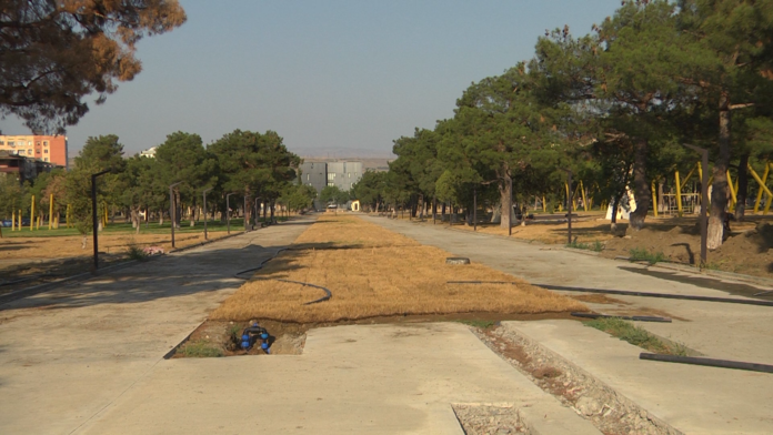 240787271_172481524961002_3180852206019869128_n