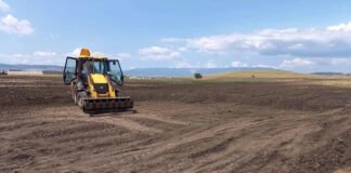 ქვემო ქართლში მიწის ნაყოფიერი ფენის მოხსნის ფაქტები გამოავლინეს