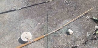 ქვემო ქართლში უკანონო თევზჭერის ფაქტი გამოვლინდა