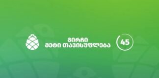 “გირჩი-მეტი თავისუფლების” რუსთავის საკრებულოს დეპუტატობის კანდიდატები ცნობილია