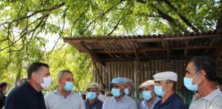 დავით შერაზადიშვილი ბოლნისის მოსახლეობას შეხვდა