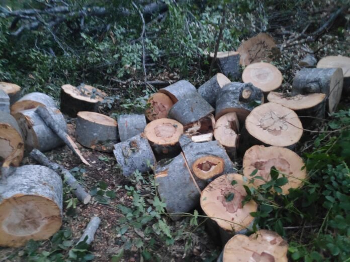 241152162_5292426814105027_2870238681866204554_n