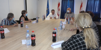 დავით შერაზადიშვილი არასამთავრობო ორგანიზაციების წარმომადგენლებს შეხვდა
