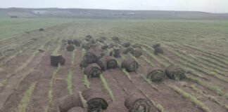 გარემოსდაცვითი ზედამხედველობის დეპარტამენტმა მიწის ნაყოფიერი მოხსნის ფაქტი გამოავლინა