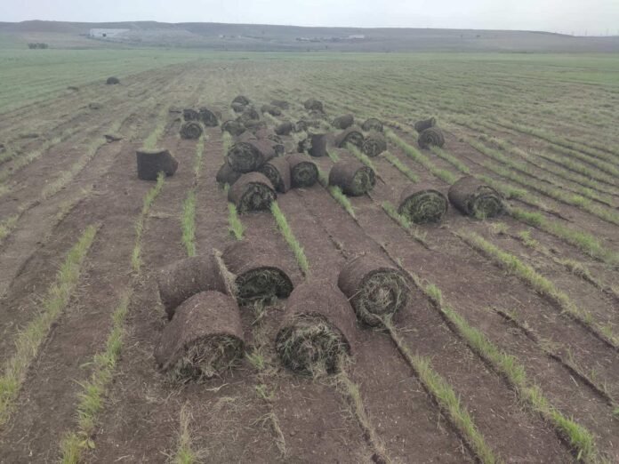 241562250_259907869321393_8082576761262838766_n