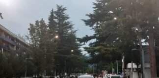 „საქართველოს ბანკის“ ფილიალზე თავდამსხმელი დაკავებულია