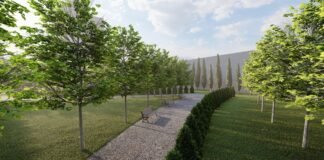 რუსთავში კიდევ ერთი გამწვანების პროექტი განხორციელდება