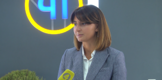 ნინო ლაცაბიძე დავით კირკიტაძის ბრიფინგს პასუხობს