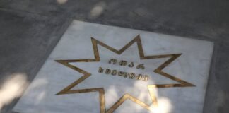 ოთარ ხმელიძის სახელობის ვარსკვლავი რუსთავის ცენტრალურ პარკში