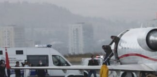 8 წლიანი ძებნის შემდეგ, მეგის ქარდავა საქართველოს გადმოეცა