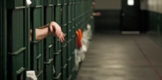 ხანგრძლივი პაემნები ყველა პენიტენციურ დაწესებულებაში გრძელდება