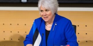 EU-მ საქართველოში არჩევნებზე დამკვირვებლების გაგზავნა გადაწყვიტა