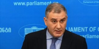 სარჯველაძე დმანისის ინციდენტზე: ძალადობას არც ერთ შემთხვევაში არ აქვს გამართლება