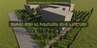 რუსთავის მე-9 საჯარო სკოლის გასამწვანებლად საჭირო თანხა შეგროვდა