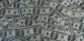 დააკავეს პირი, რომელმაც 5 000 აშშ დოლარის ოდენობის ყალბი ფული გაასაღა