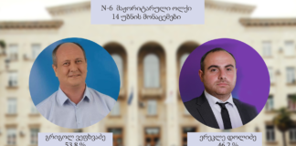 ცესკოს მონაცემებით, N6 ოლქში არსებულ ყველა უბანზე გრიგოლ ვეფხვაძემ გაიმარჯვა