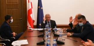 ნინო ლაცაბიძისთვის პარლამენტის წევრის უფლებამოსილების შეწყვეტაზე კომიტეტმა იმსჯელა