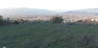 755 144 ლარის სახელმწიფო ქონების მოტყუებით დაუფლების ფაქტი