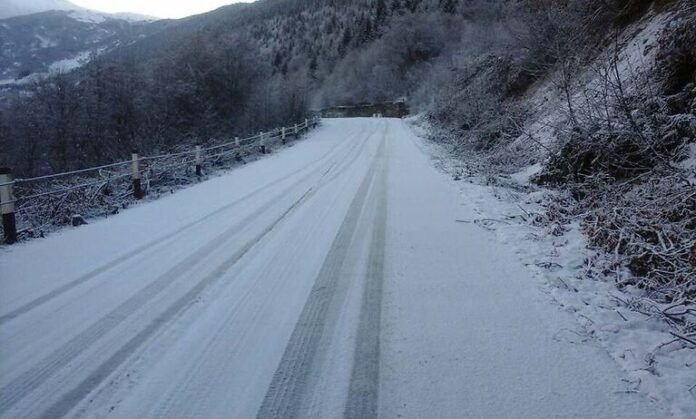 1637736100-261024745_6388580787882635_65565