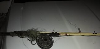 ქვემო ქართლში უკანონო თევზჭერის ფაქტები გამოვლინდა