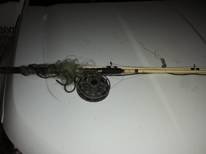 250198192_5479835805364126_7824086538162764465_n