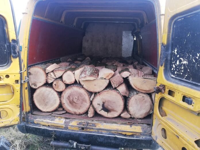 256412480_5526211577393215_4261538466536929165_n