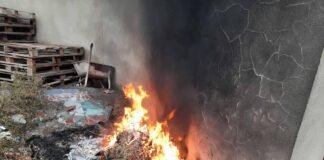 ქვემო ქართლში ნარჩენების მართვის კოდექსის დარღვევის ფაქტები გამოვლინდა