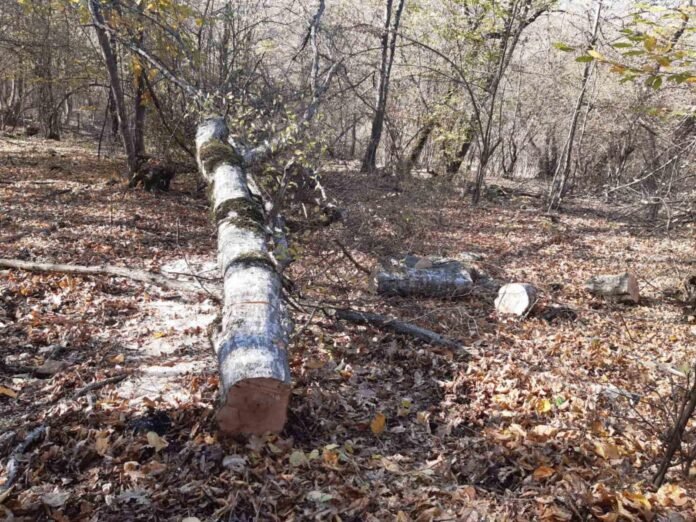 256864535_5526235864057453_7109978939439624559_n