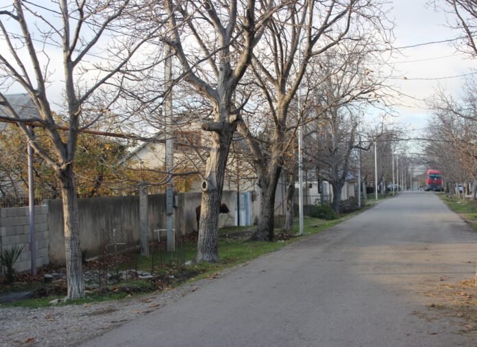 258309085_3036315073259926_6241227988535765986_n