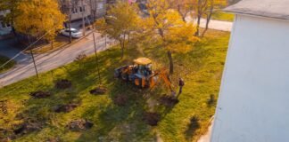 “გავიგუდეთ” – მე-9 სკოლის ორმოები უკვე ხეებს ელიან