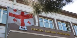 რუსთავის საქალაქო სასამართლოში “გირჩი-მეტი თვისუფლების” წევრი ირაკლუ კუკანიას სასაართლო პროცესი გაიმართა